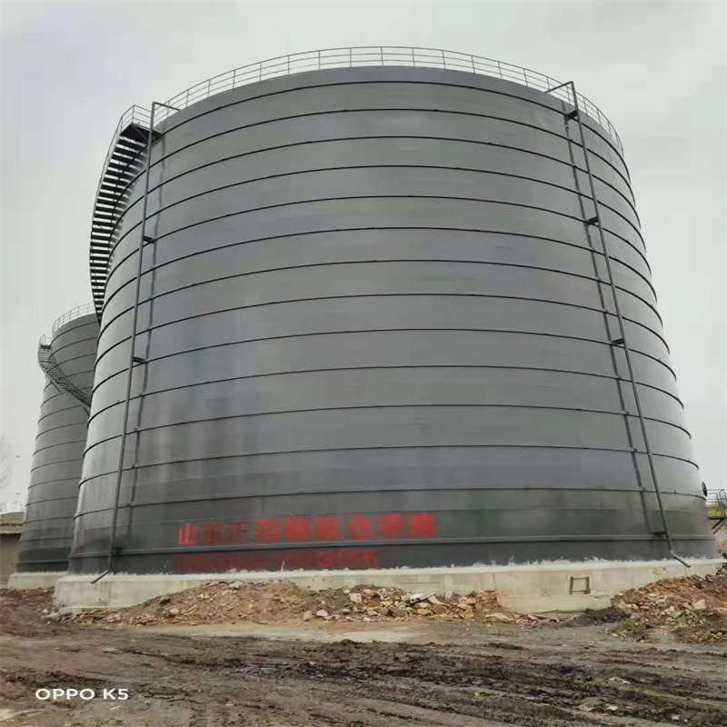 永兴3万吨大型钢板库