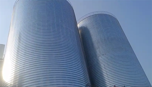 永兴2座混凝土高架卷板仓